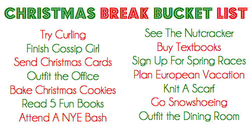 christmas break bucket list